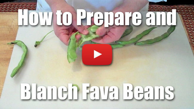 How to Peel, Blanch and Shuck Fava Beans - Video Technique