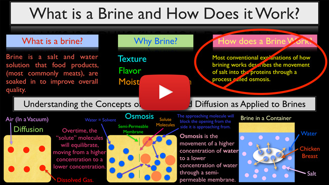 The Science Behind Brining - Video Lecture