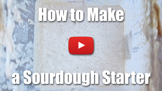 How to Make a Sourdough Starter - Video