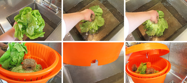 How to Properly Wash and Store Lettuce / Salad Greens - Step Two