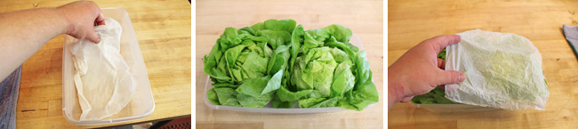 How to Properly Wash and Store Lettuce / Salad Greens - Step Three