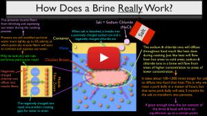 The Science Behind Brining Meat and How it Works - Video Lecture