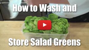 How to Wash and Store Salad Greens / Lettuce - Video Technique